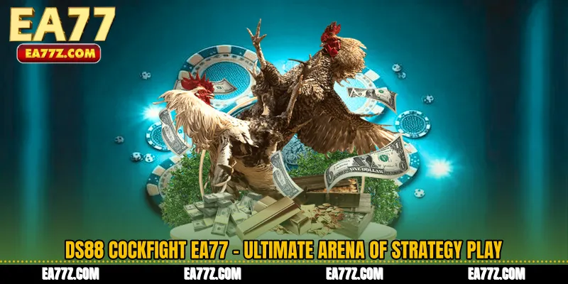 DS88 Cockfight EA77 - Ultimate Arena of Strategy Play