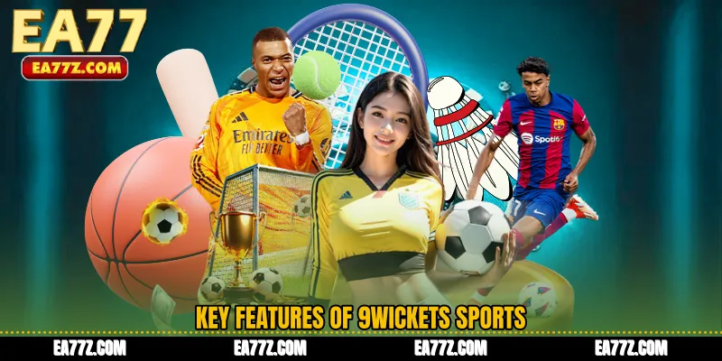 Key Features of 9Wickets Sports