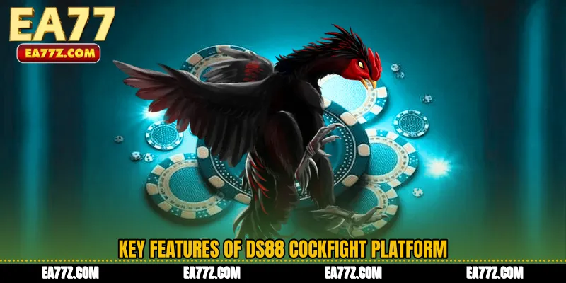 Key Features of DS88 Cockfight Platform