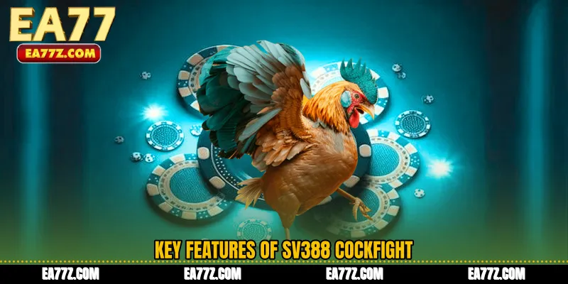 Key Features of SV388 Cockfight