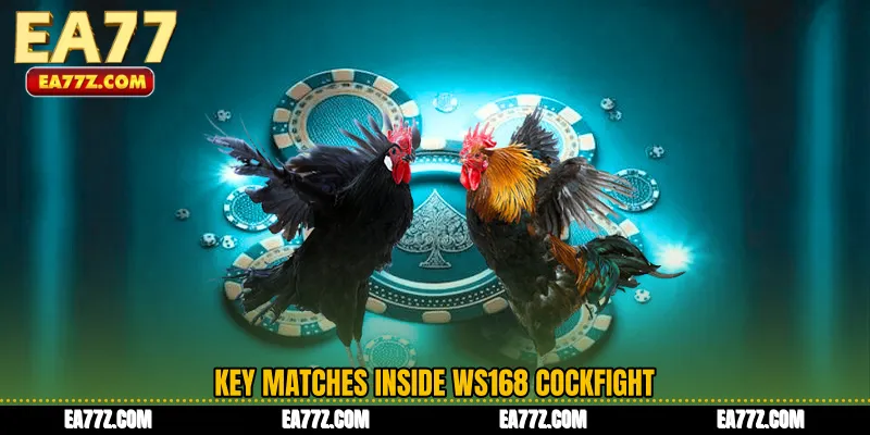 Key Matches Inside WS168 Cockfight