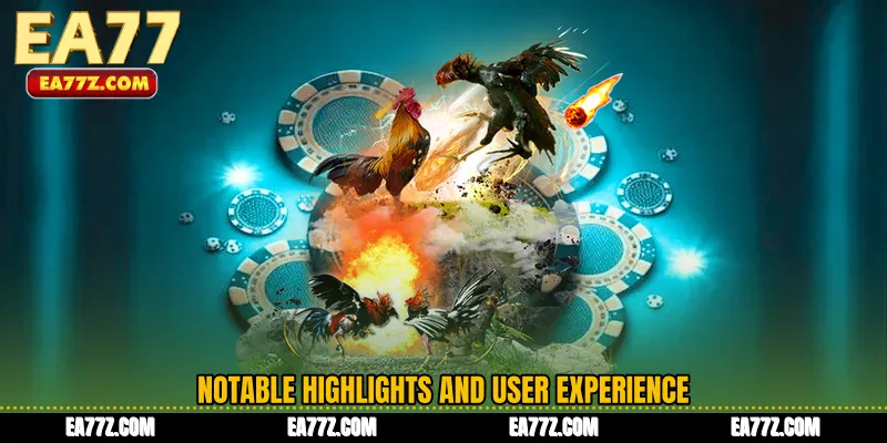 Notable Highlights and User Experience