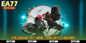 S128 Cockfight EA77 Arena - Fierce Battles Redefined