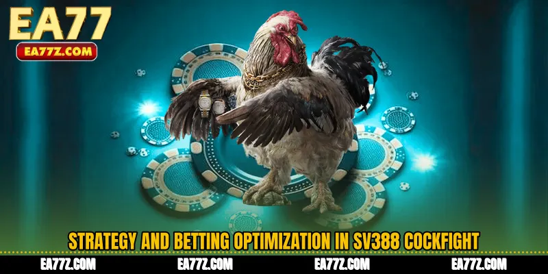 Strategy and Betting Optimization in SV388 Cockfight