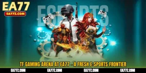 TF Gaming Arena at EA77 - A Fresh E-Sports Frontier
