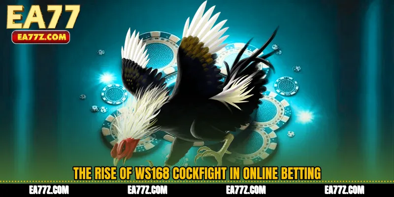 The Rise of WS168 Cockfight in Online Betting